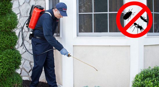 Çiğli Pire İlaçlama böcek ilaçlama ve haşere kontrolü — ilaclama-tr.com